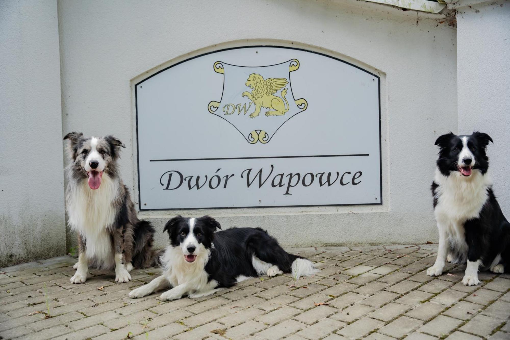 Dwór Wapowce Hotel Exterior foto